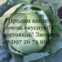 izobrazhenieviber2022-03-1108-13-43-160