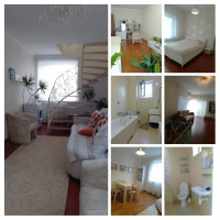 izobrazhenieviber2022-02-0209-31-05-036