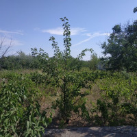 snimok-ekrana-2022-02-25-180556